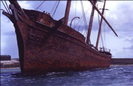Lady Elizabeth 1991